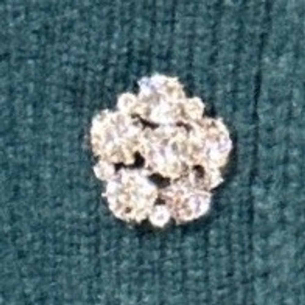 J.Crew Jewelled Button Lambswool Blend Sweater Dark Green Size XS EUC - Picture 3 of 10